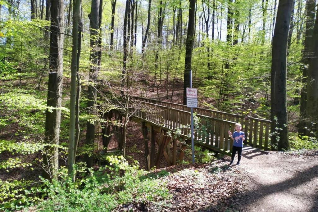 Ferienwohnung Am Teutoburger Wald 1 Oerlinghausen エクステリア 写真